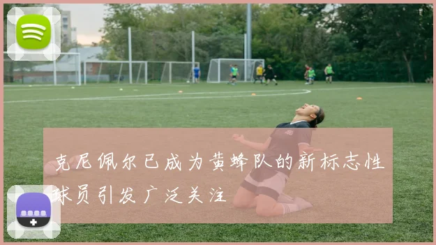 克尼佩尔已成为黄蜂队的新标志性球员引发广泛关注