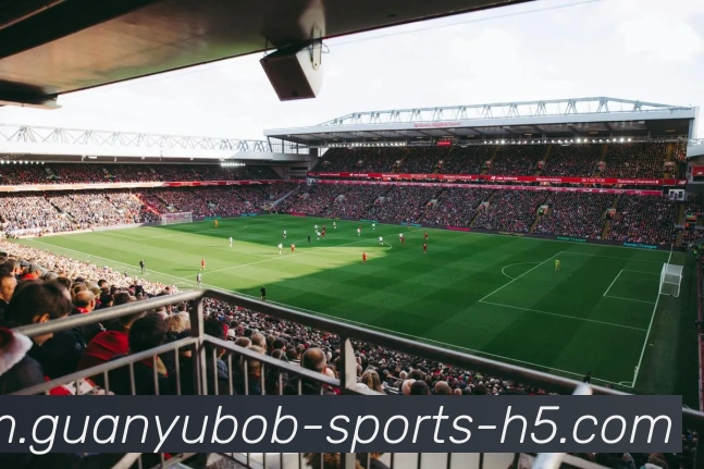 BOB体育APP 封面图